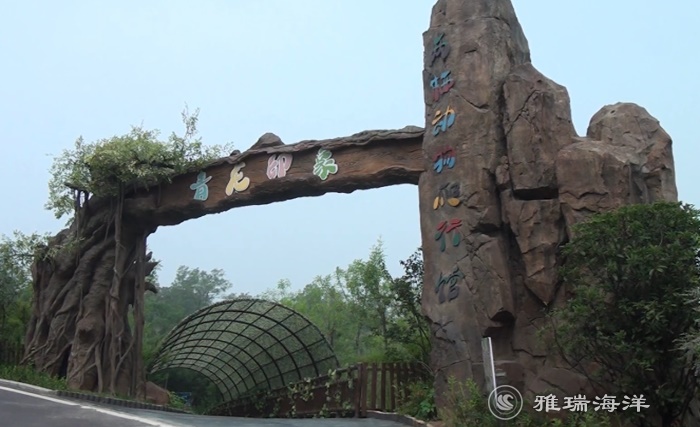 山東濟南青龍印象兩爬館